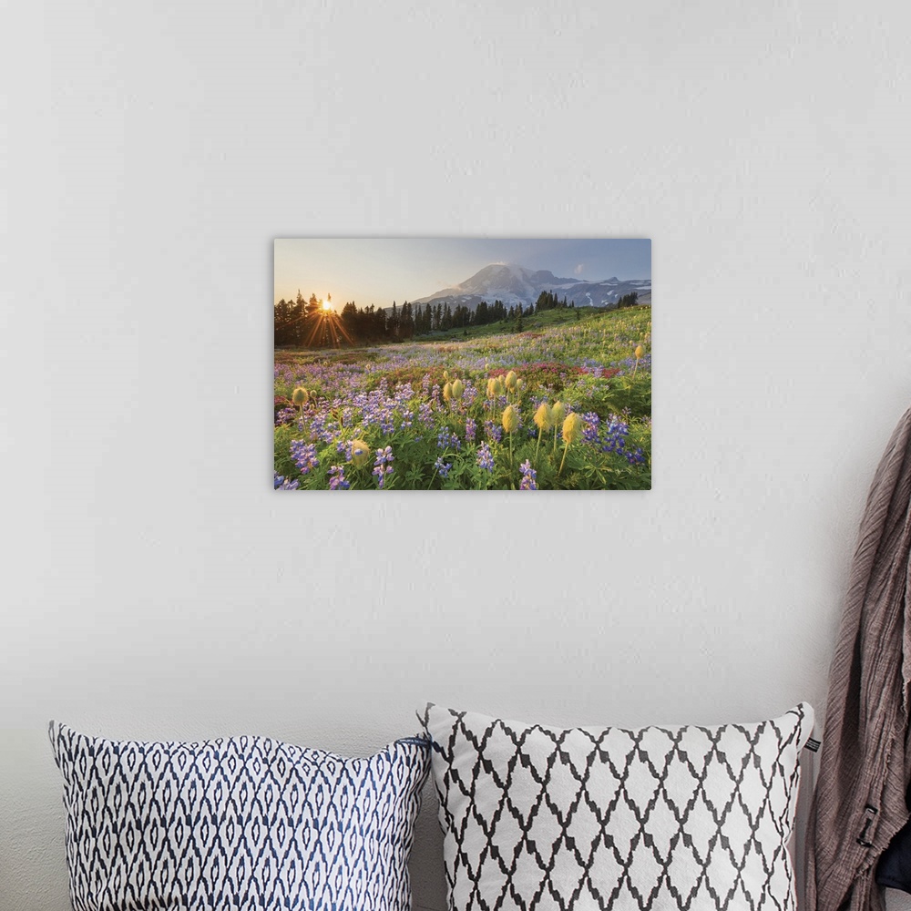 A bohemian room featuring Sunset over Mount Rainier Paradise wildflower meadows. Containing a mixture of Western Anemone, B...