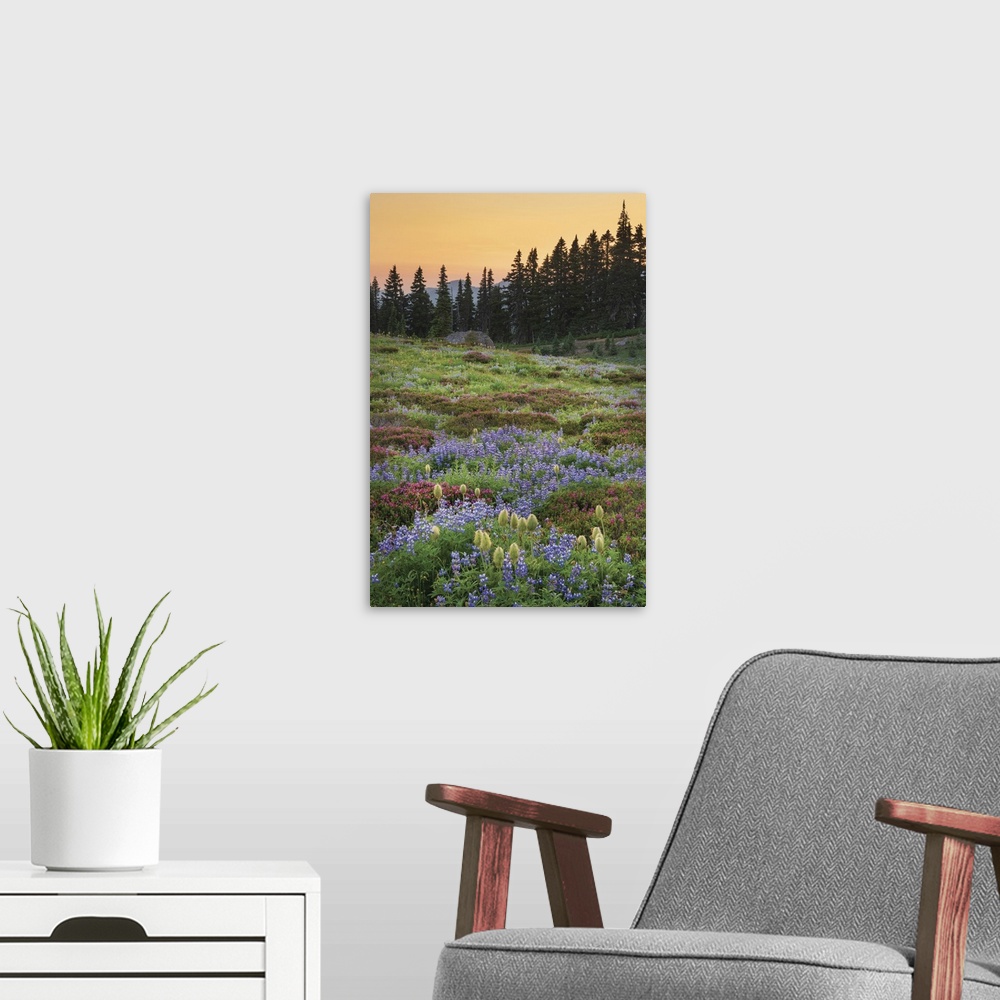 A modern room featuring Mount Rainier Paradise wildflower meadows containing  a mixture of Western Anemone, Broadleaf Lup...
