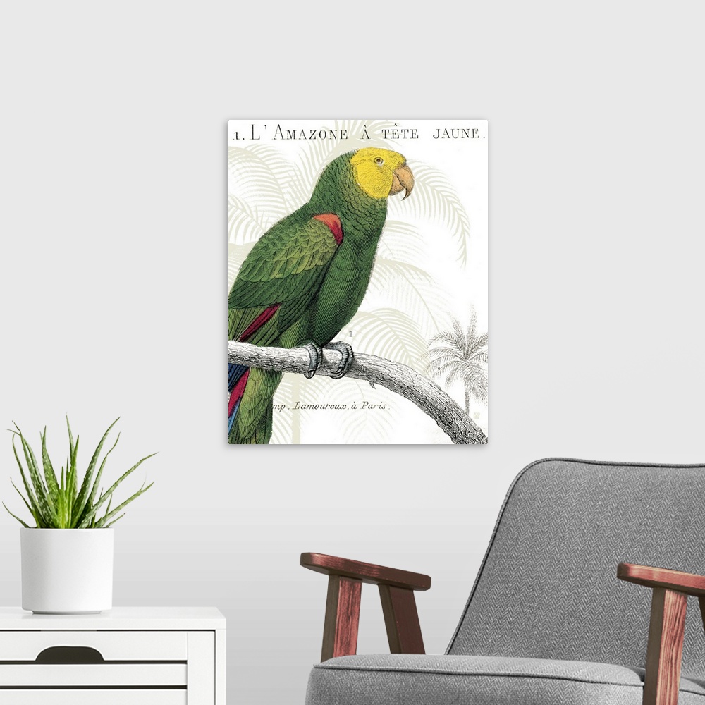 A modern room featuring Parrot Botanique I