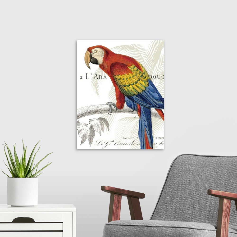 A modern room featuring Parrot Botanique II