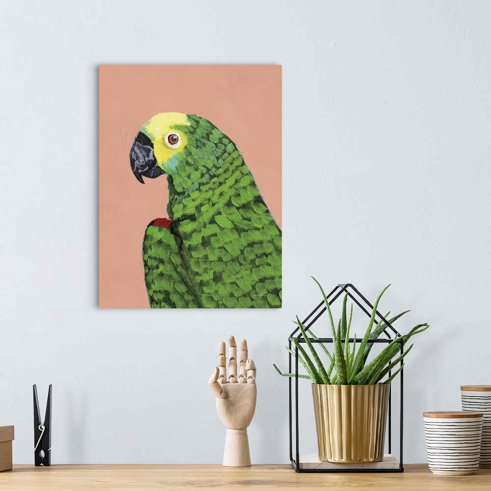 A bohemian room featuring Parrot Head