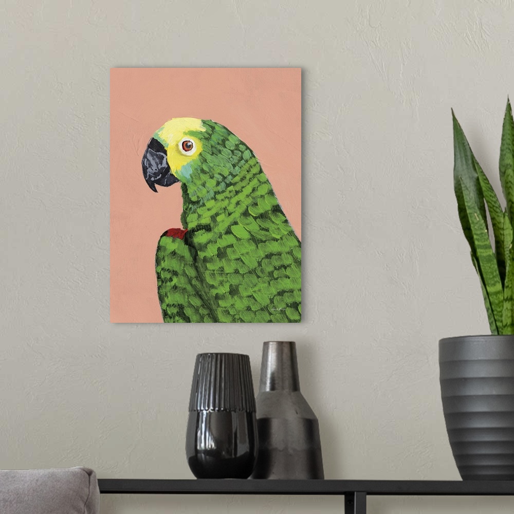A modern room featuring Parrot Head