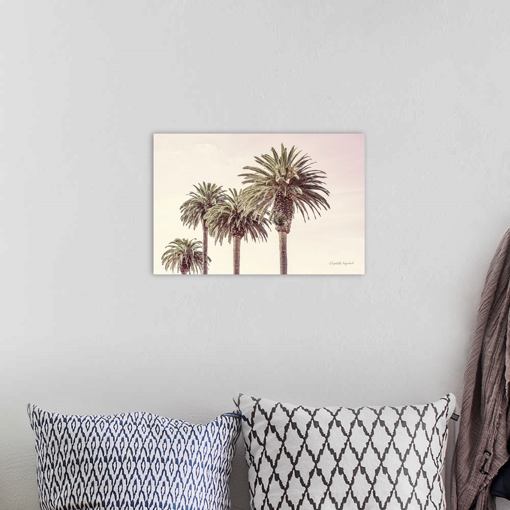 A bohemian room featuring Pastel Palms