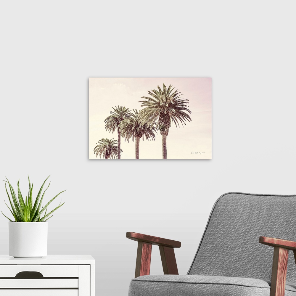 A modern room featuring Pastel Palms