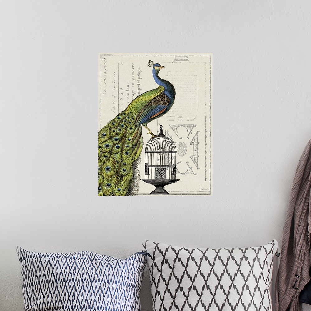 A bohemian room featuring Antique-style collage of an illustrated Indian peafowl on a cage combined with an architectural d...
