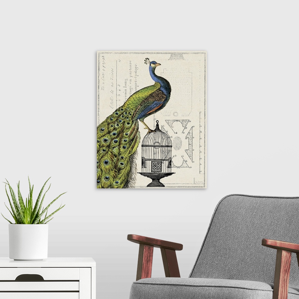 A modern room featuring Antique-style collage of an illustrated Indian peafowl on a cage combined with an architectural d...