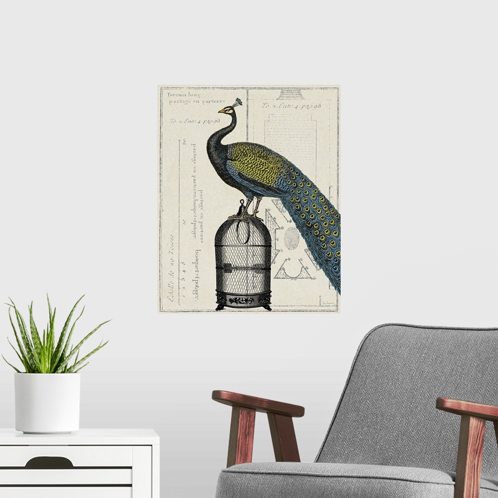 A modern room featuring Vertical, large home art docor of a peacock standing on a small birdcage, on a background of illu...