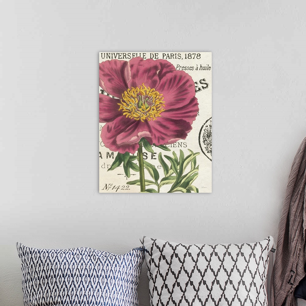 A bohemian room featuring Vintage stylized illustration of a pink peony against a cream background with text.