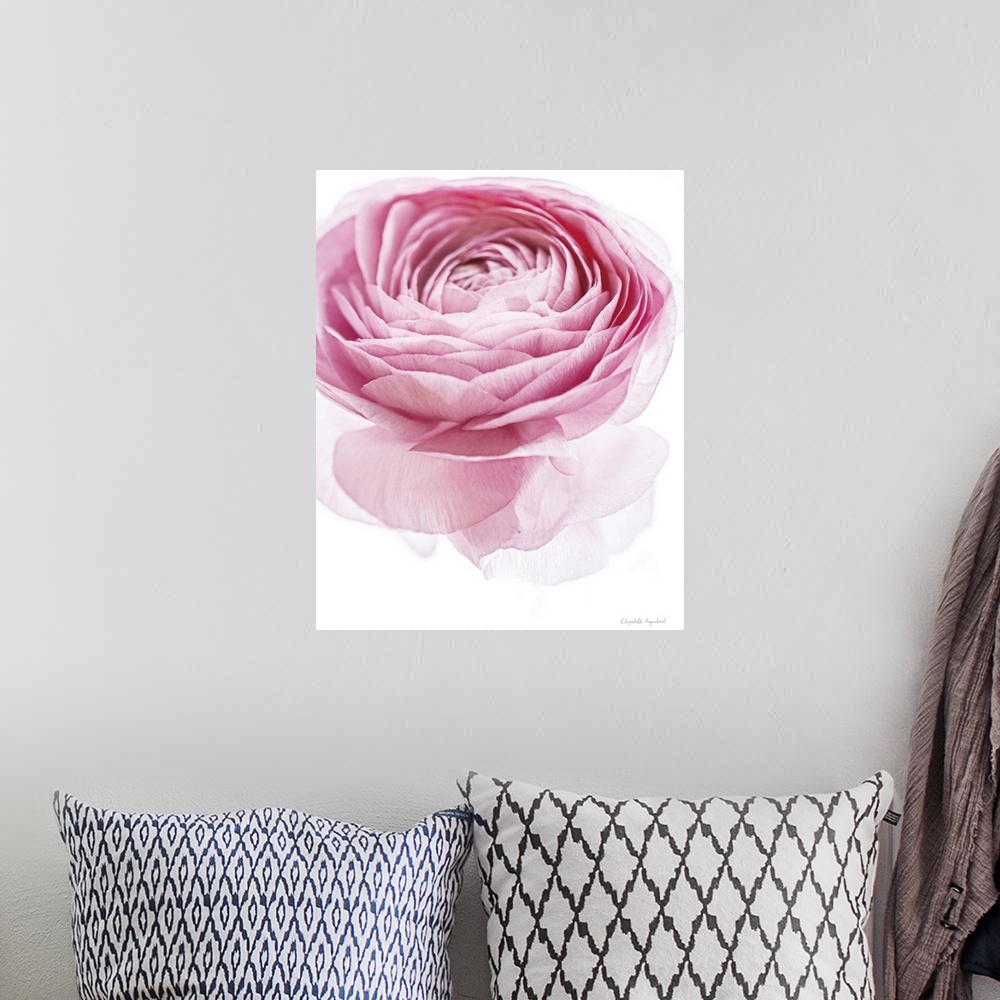 A bohemian room featuring Photograph of a pink lady rose in muted tones that fade into the white background.