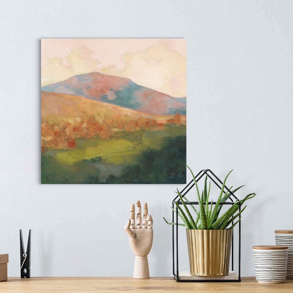 A bohemian room featuring Pink Mountain Morning