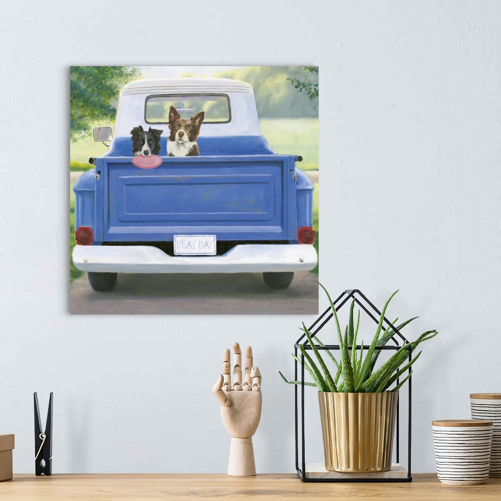 A bohemian room featuring Contemporary artwork featuring an australian shepard and a border collie in the bed of a blue truck.