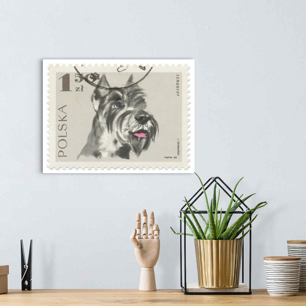 A bohemian room featuring Artwork of a Polish postage stamp of a schnauzer with a black postmark overlapping.