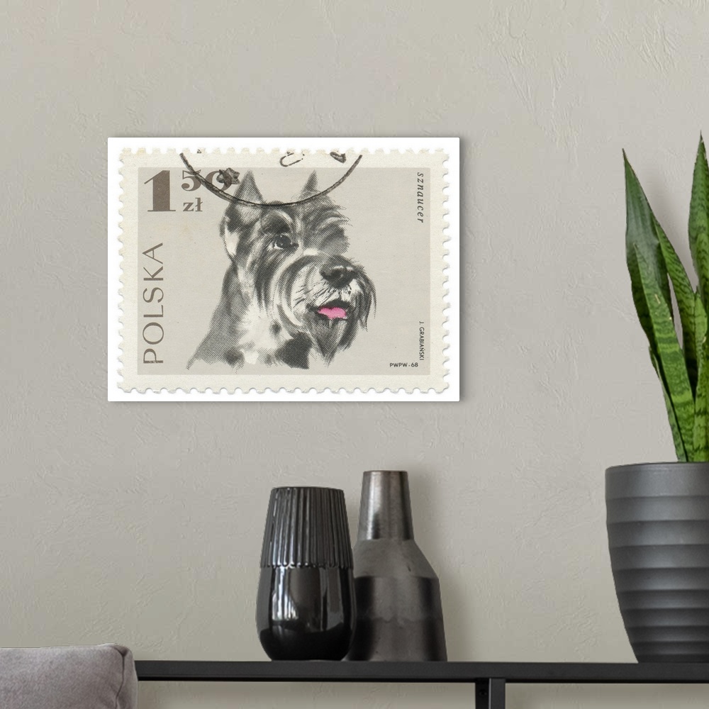 A modern room featuring Artwork of a Polish postage stamp of a schnauzer with a black postmark overlapping.