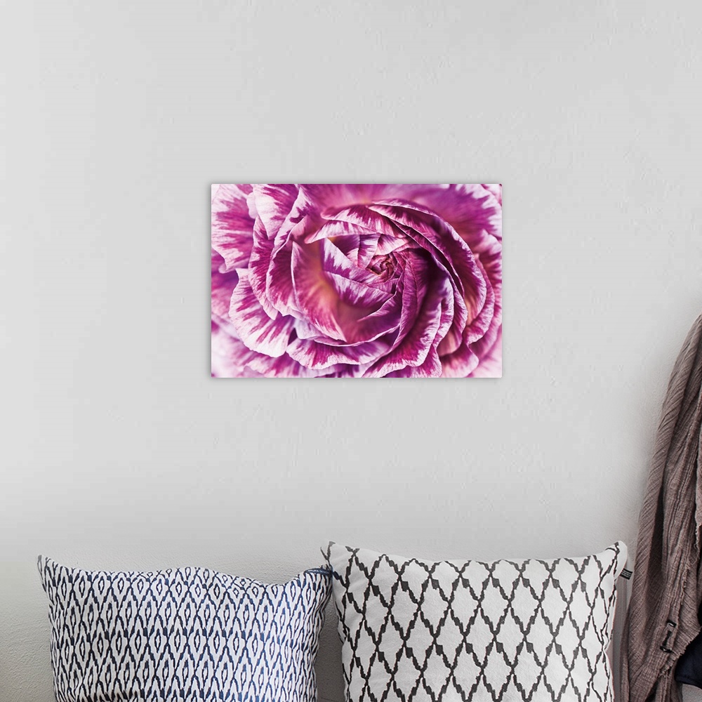 A bohemian room featuring A macro photograph of a vibrant pink flower.