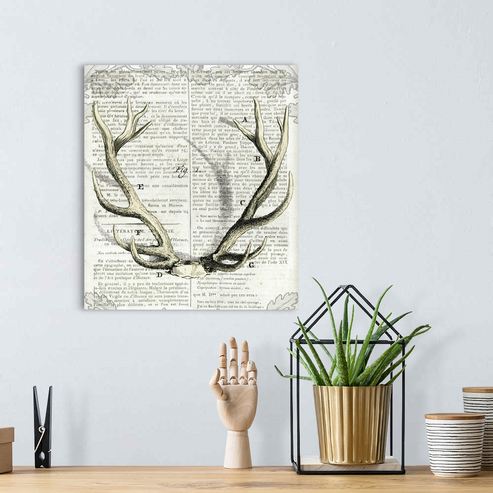 A bohemian room featuring Artwork of deer antlers against a piece of vintage looking newsprint.