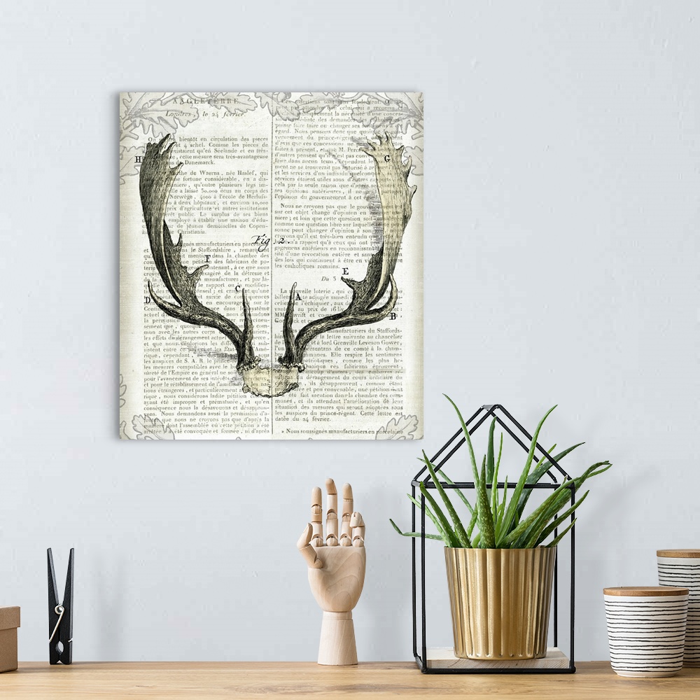 A bohemian room featuring Artwork of deer antlers against a piece of vintage looking newsprint.