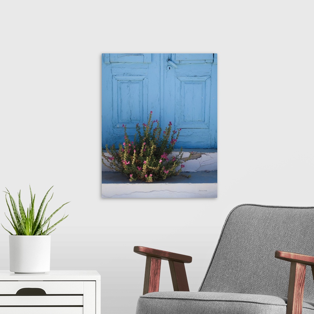 A modern room featuring Photograph of a bush with pink flowers growing in the cracks on the ground in front of a blue doo...