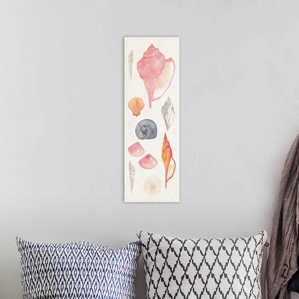 A bohemian room featuring Watercolor painting of seashell types against a white background.