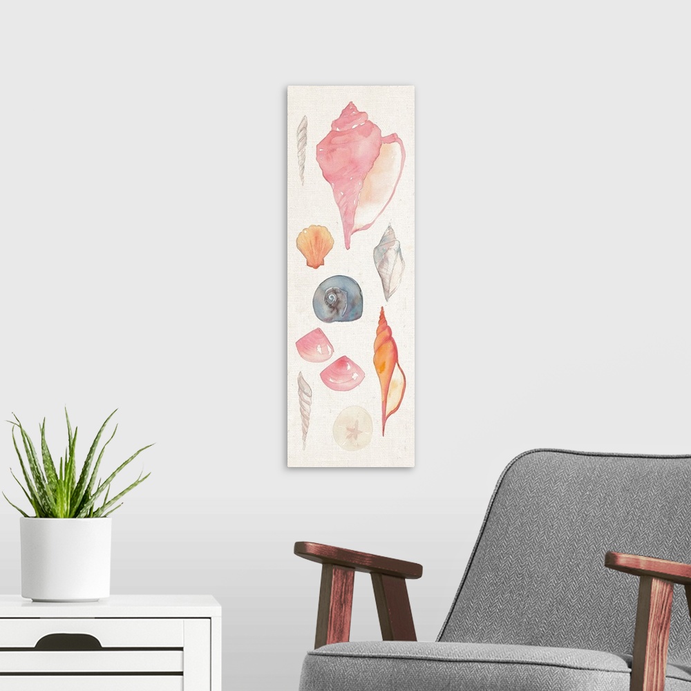 A modern room featuring Watercolor painting of seashell types against a white background.