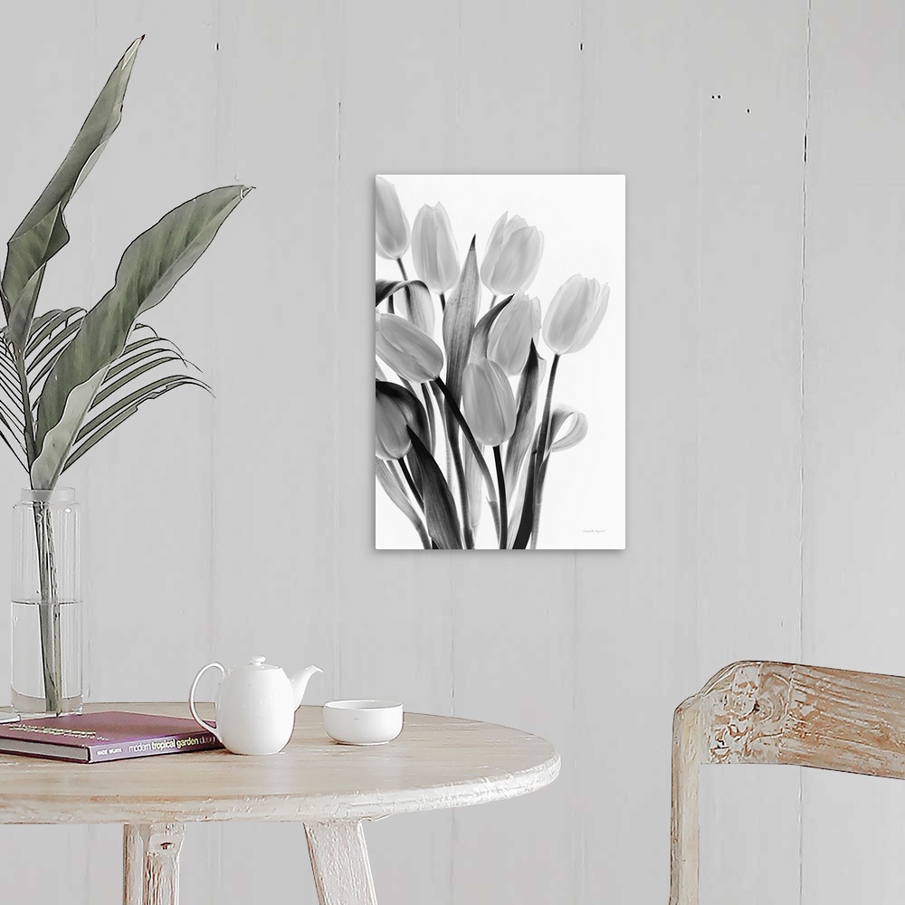 A farmhouse room featuring Black and white still life photograph of a bouquet of tulips on a bright white background.