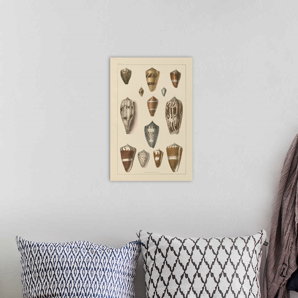 A bohemian room featuring finbar london 2013
copper engraving
hand colored lithograph