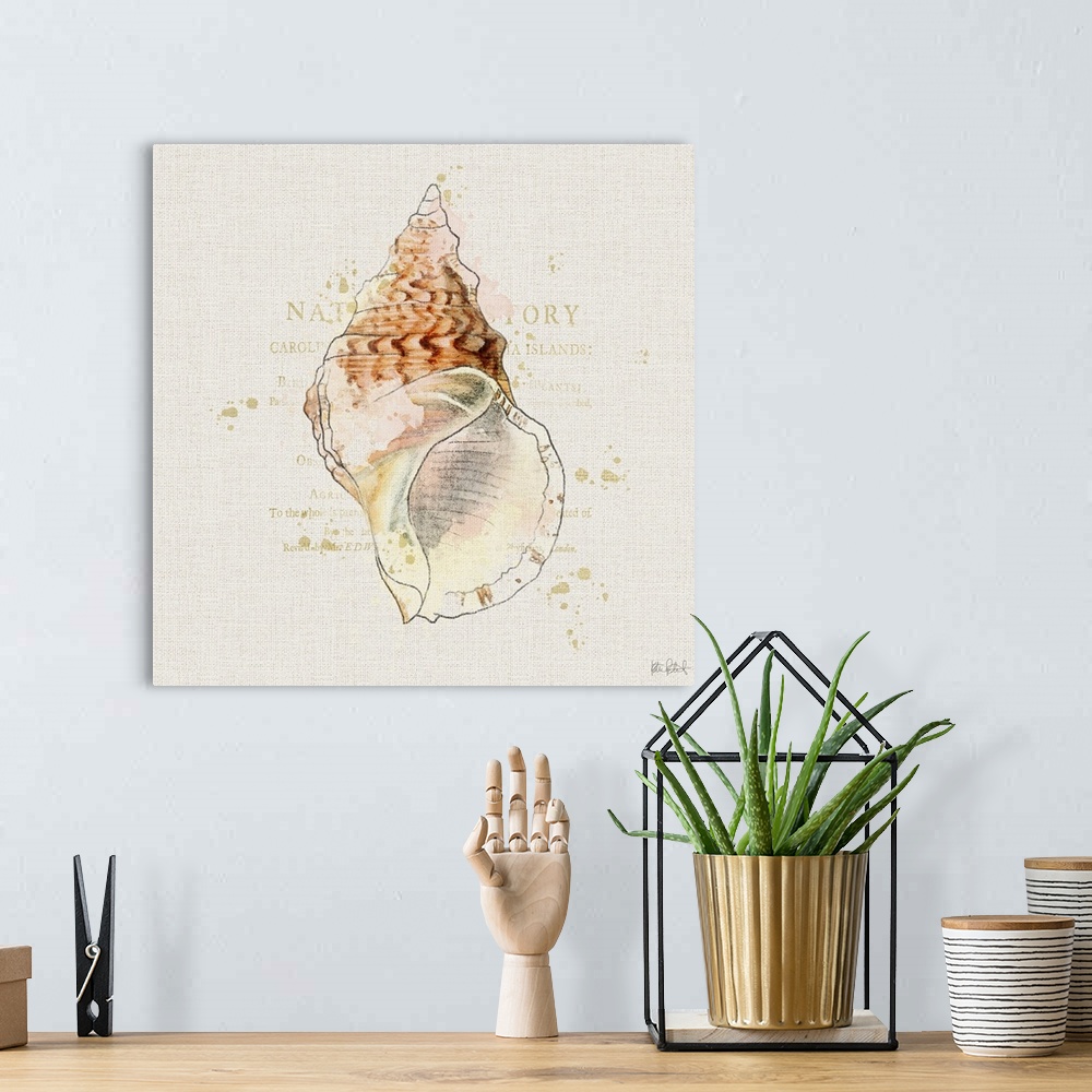 A bohemian room featuring Square watercolor painting of a coral colored seashell with faint gold text in the background.