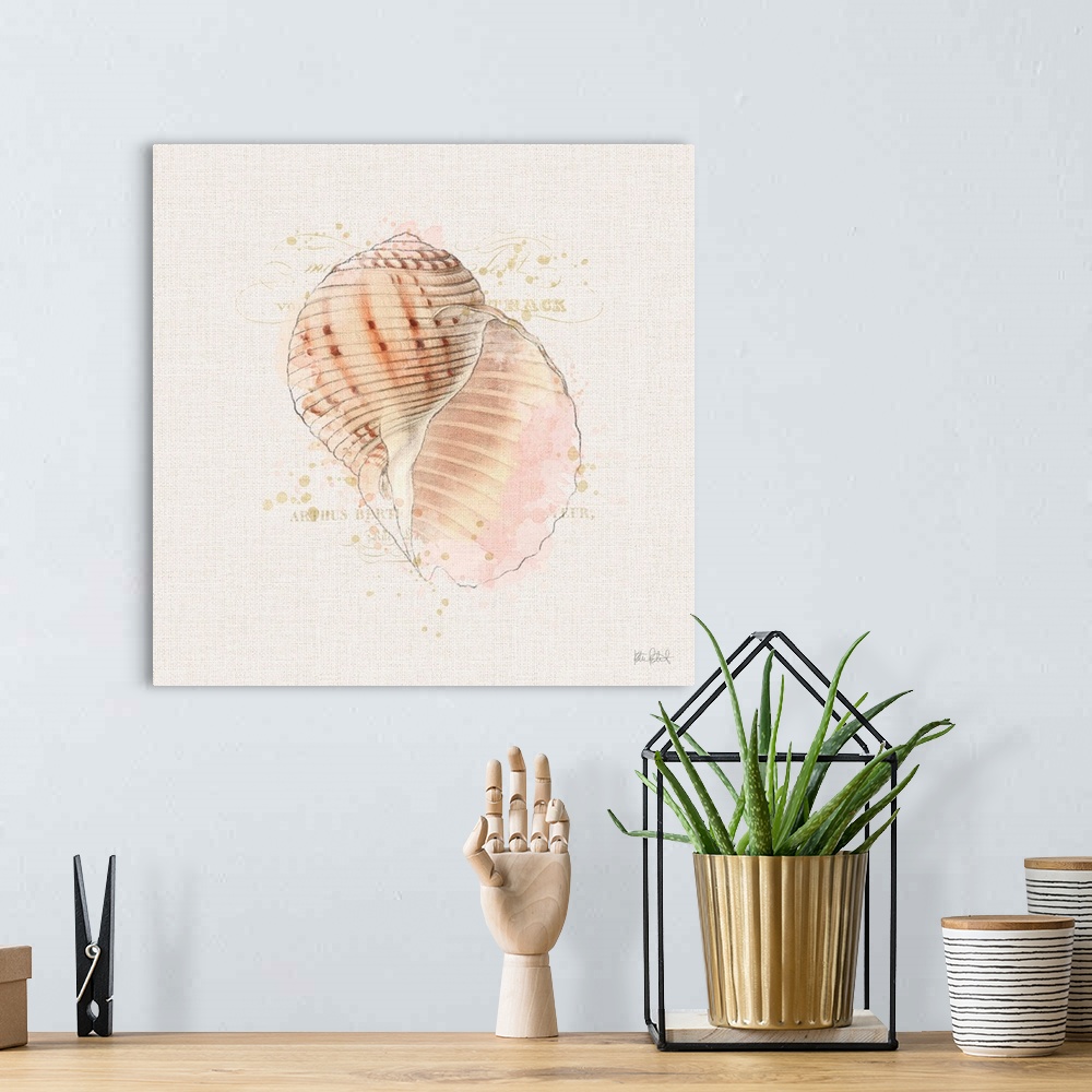 A bohemian room featuring Square watercolor painting of a coral colored seashell with faint gold text in the background.