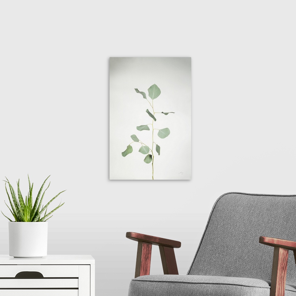 A modern room featuring Simple Stems I