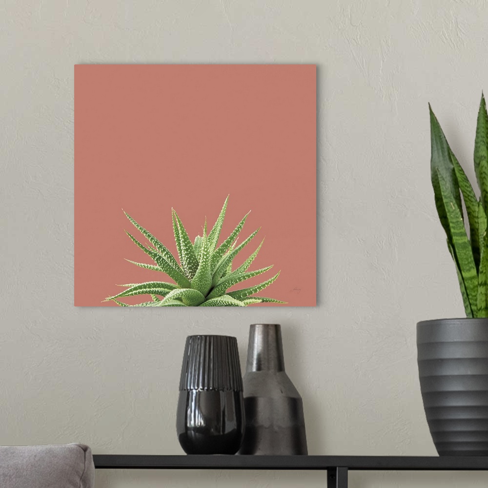 A modern room featuring Succulent Simplicity I Coral
