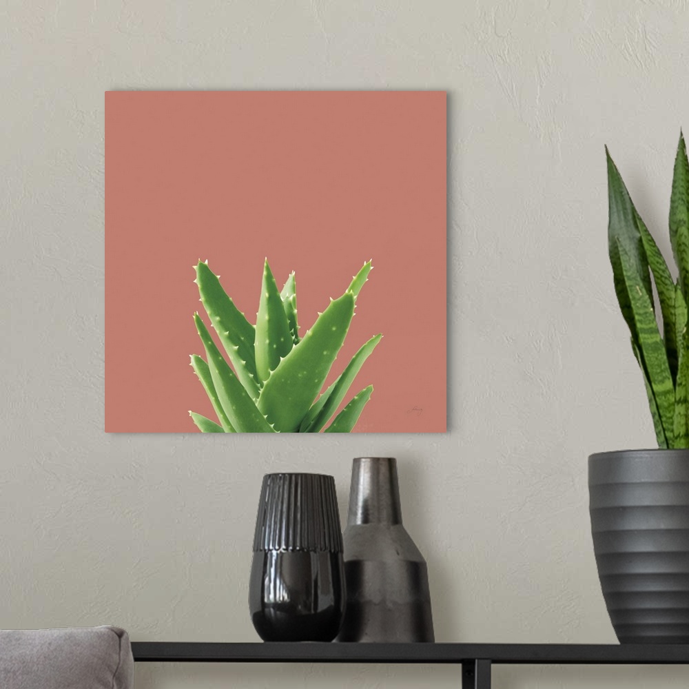 A modern room featuring Succulent Simplicity V Coral