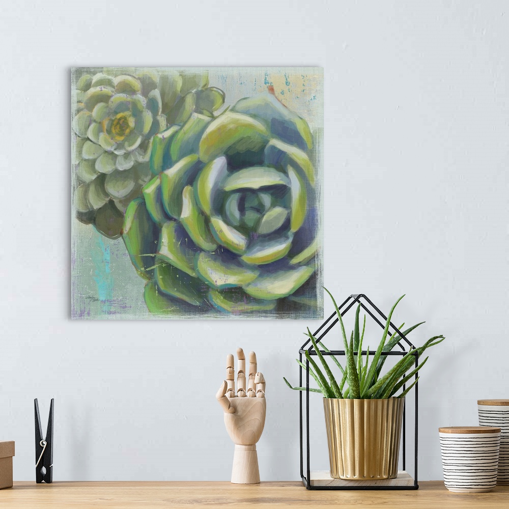 A bohemian room featuring Succulents II