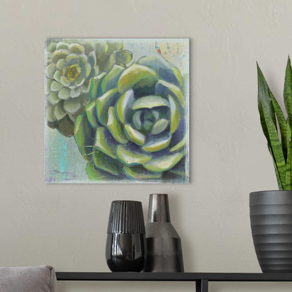 A modern room featuring Succulents II