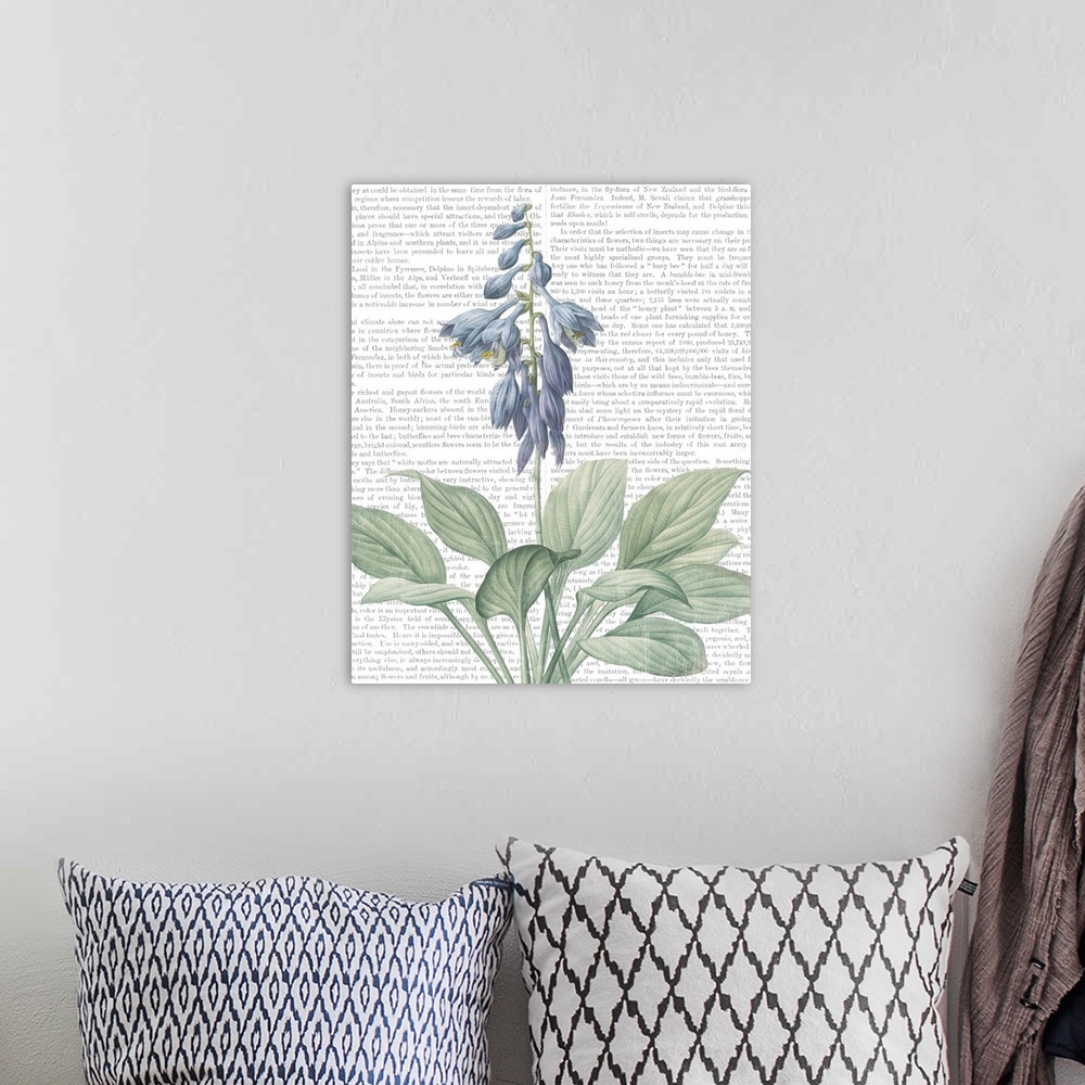 A bohemian room featuring Mixed media art with a botanical illustration in the foreground and text from a botany book in th...