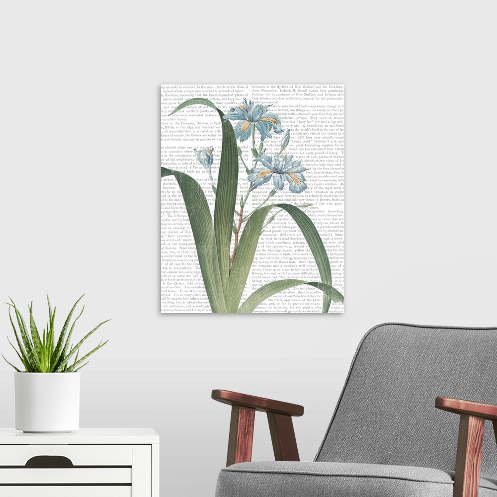 A modern room featuring Mixed media art with a botanical illustration in the foreground and text from a botany book in th...