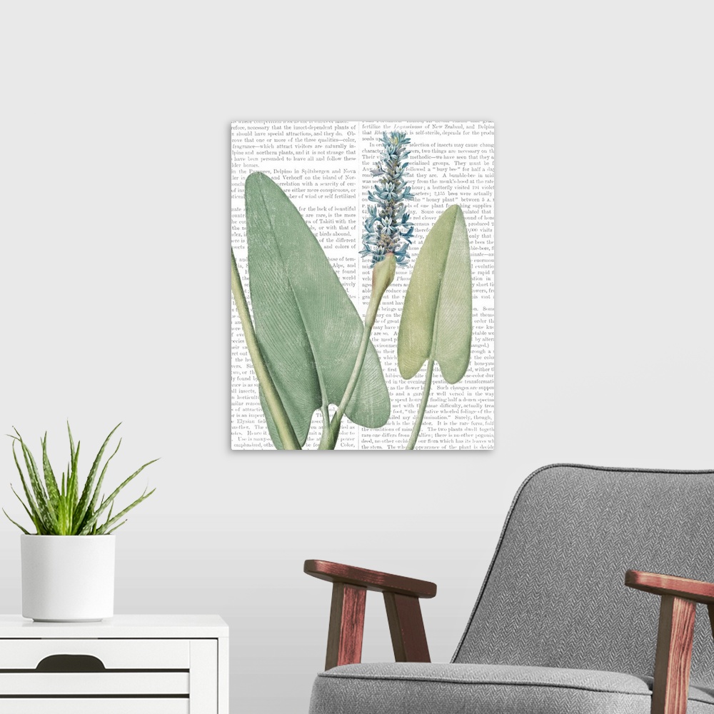 A modern room featuring Mixed media art with a botanical illustration in the foreground and text from a botany book in th...