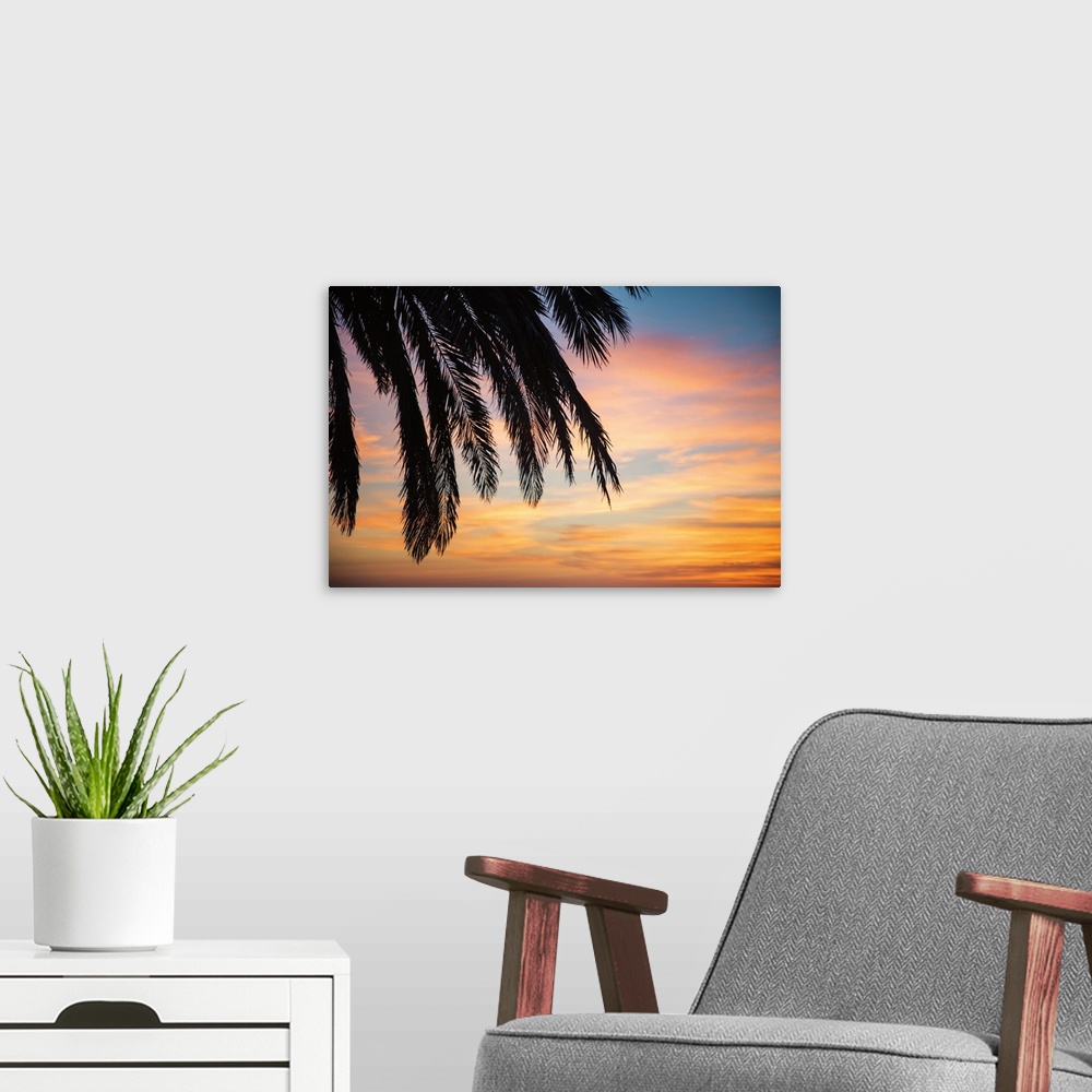 A modern room featuring Sunset Palms I
