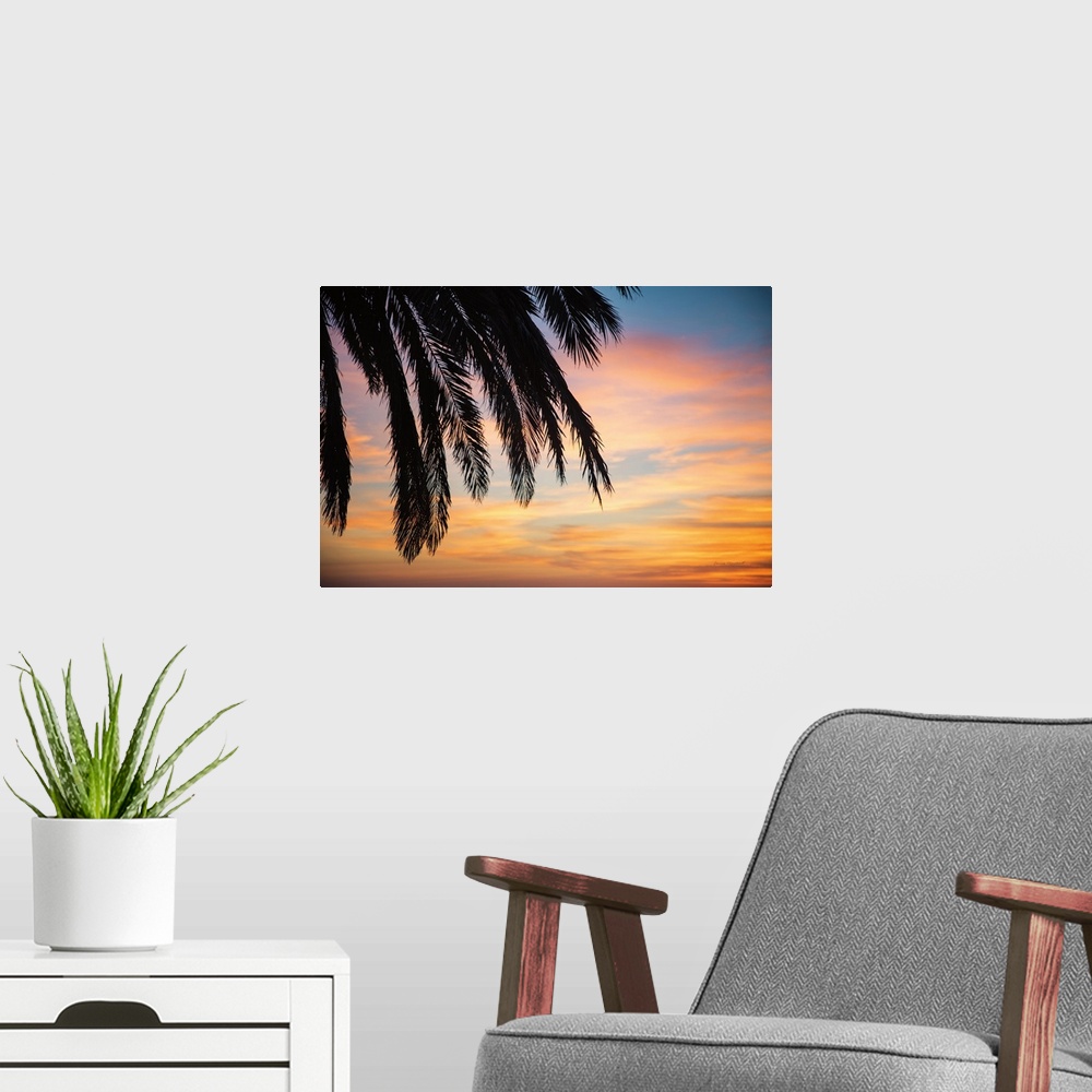 A modern room featuring Sunset Palms I