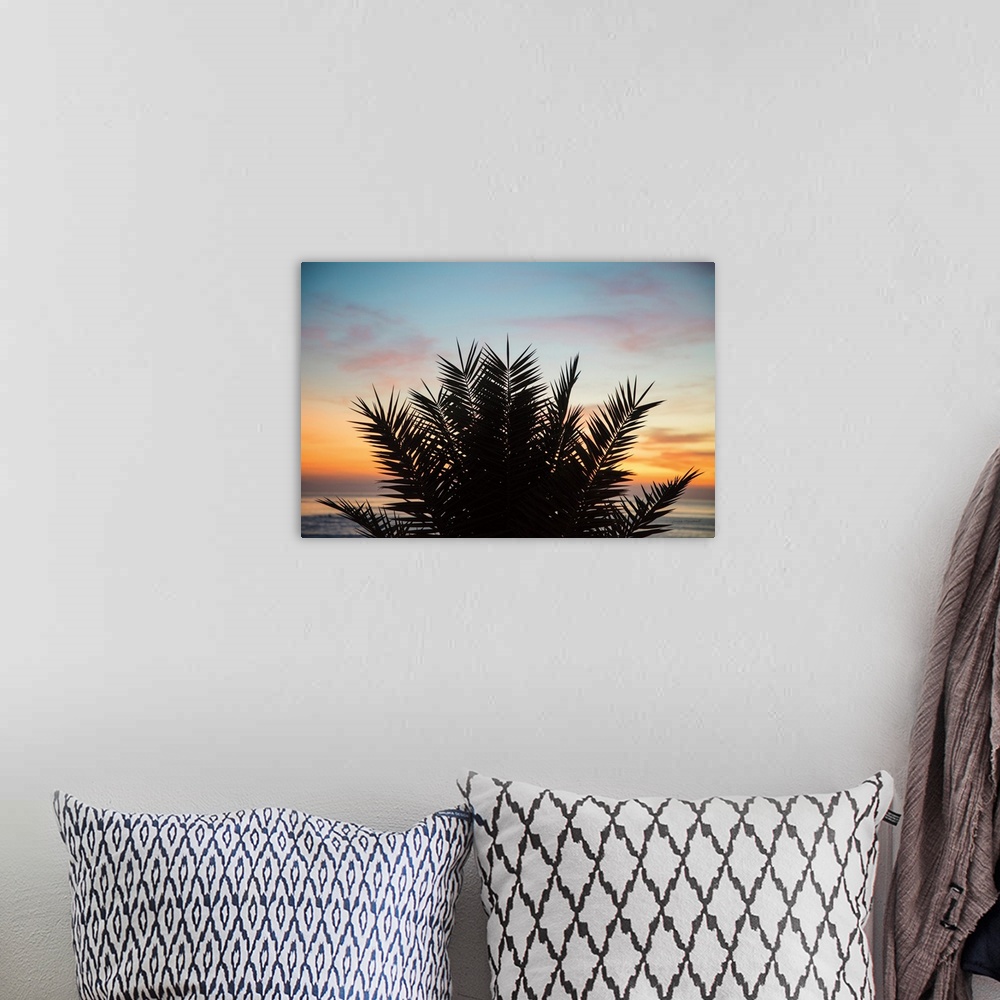 A bohemian room featuring Sunset Palms II