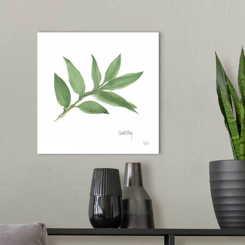 A modern room featuring Simple square watercolor painting of a Bay Leaf with its title written at the bottom.