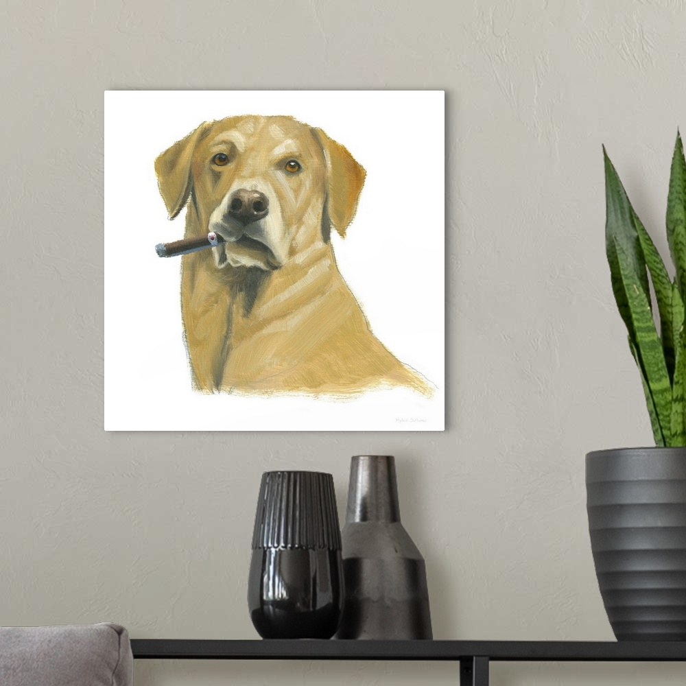 A modern room featuring Square painting of a yellow lab smoking a cigar on a solid white background.