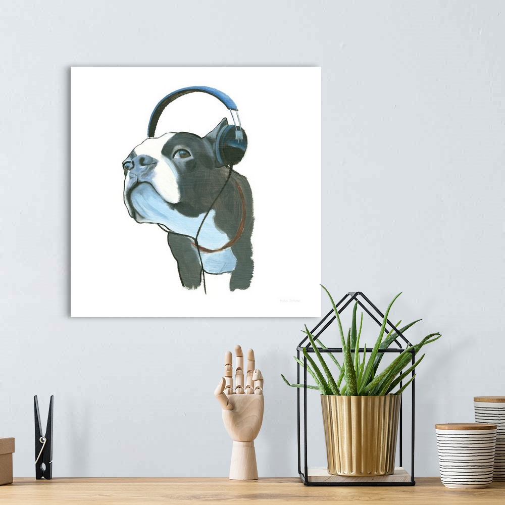 A bohemian room featuring Square painting of a Boston terrier wearing headphones on a solid white background.