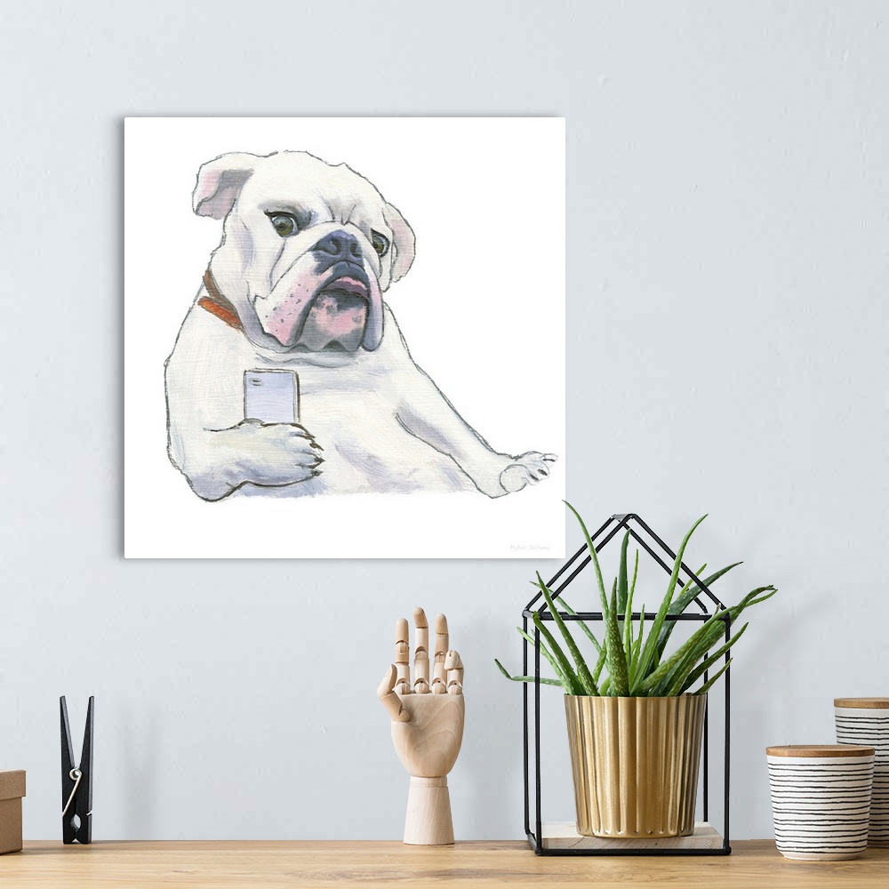 A bohemian room featuring Square painting of a white bulldog using a cellphone on a solid white background.