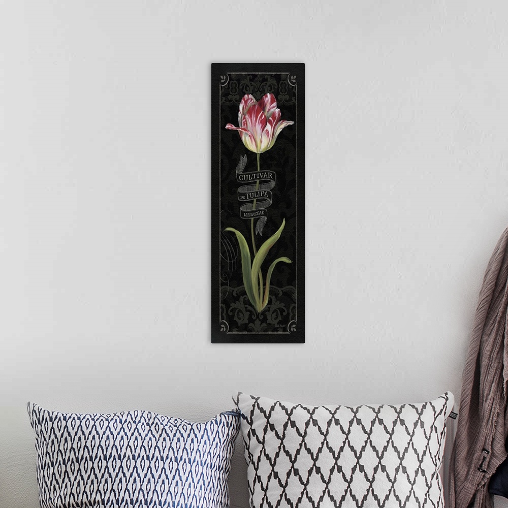 A bohemian room featuring Tulipa Botanica III