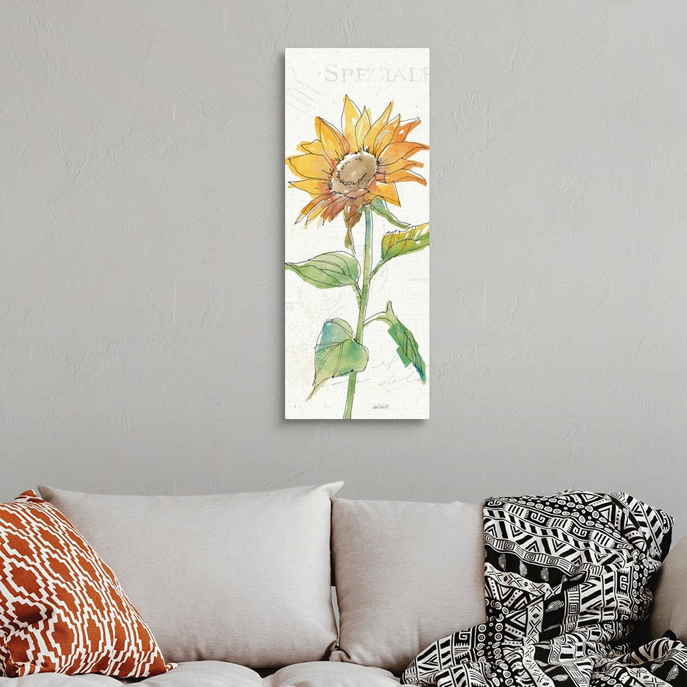 A bohemian room featuring Tall watercolor painting of a single sunflower on a white background with faint text.