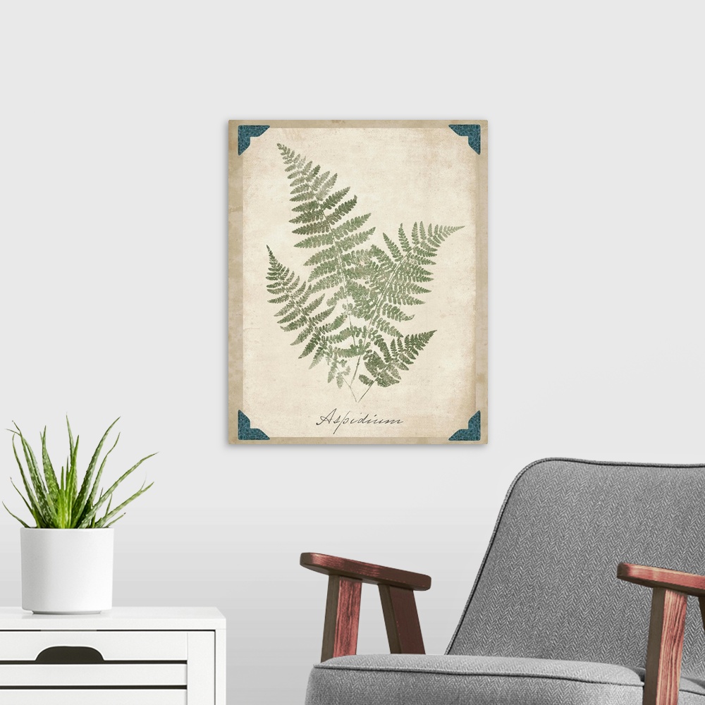 A modern room featuring Contemporary botanical illustration of fern fronds.