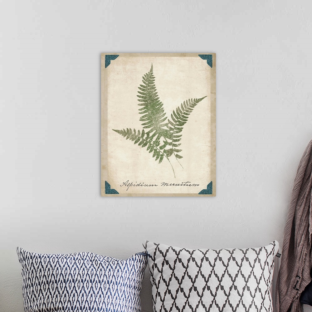 A bohemian room featuring Contemporary botanical illustration of fern fronds.