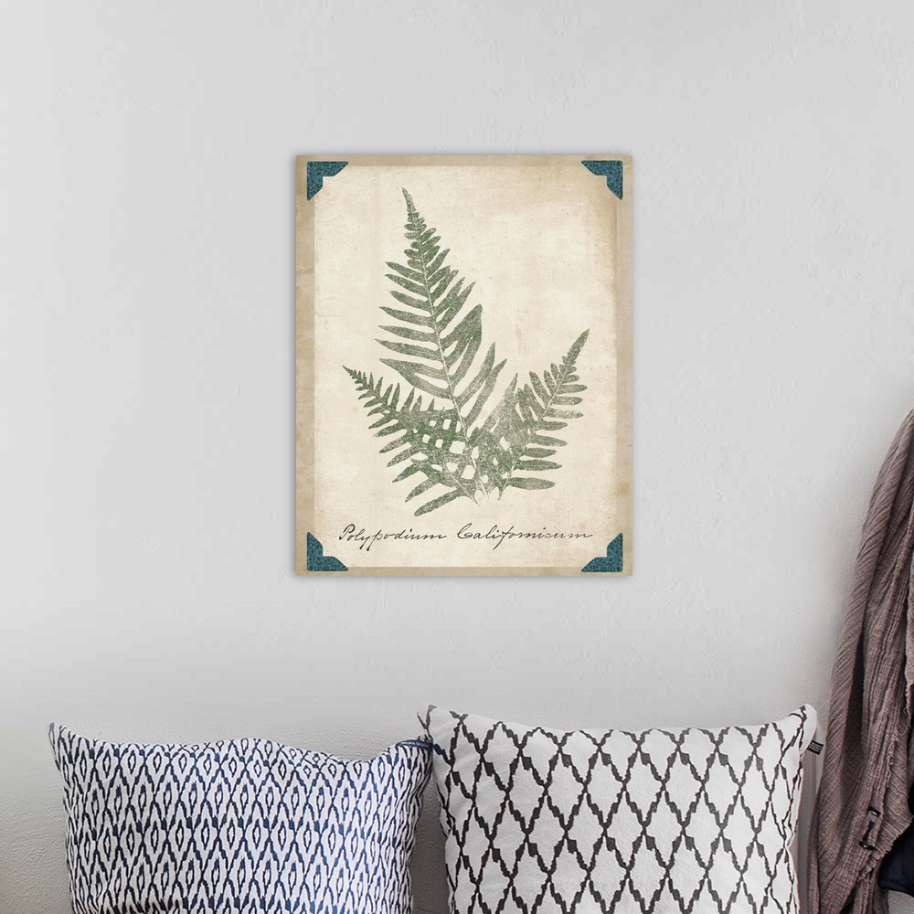 A bohemian room featuring Contemporary botanical illustration of fern fronds.