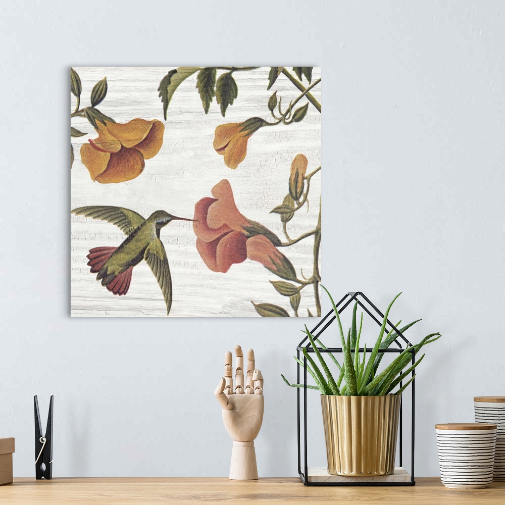 A bohemian room featuring Vintage stylized artwork of a hummingbird flying to a colorful flower against a weathered backgro...