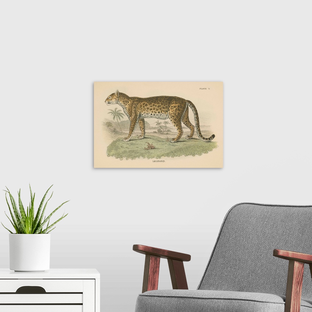 A modern room featuring Vintage Leopard