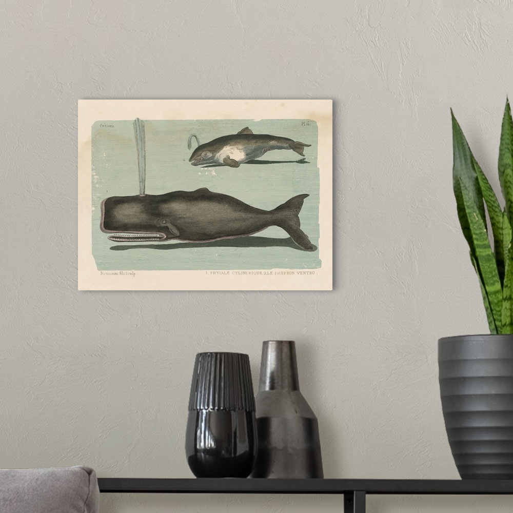 A modern room featuring Whale Sketch II